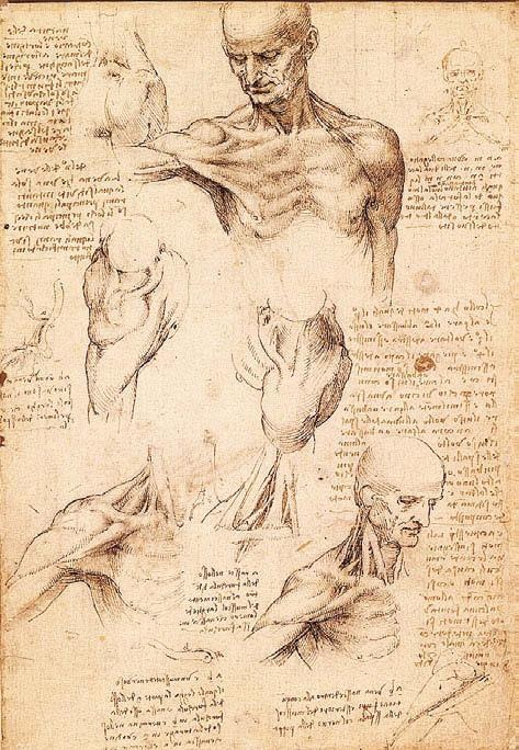 Иллюстрация к книге — Леонардо да Винчи [i_051.jpg]