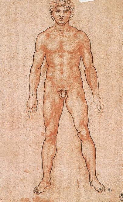 Иллюстрация к книге — Леонардо да Винчи [i_065.jpg]