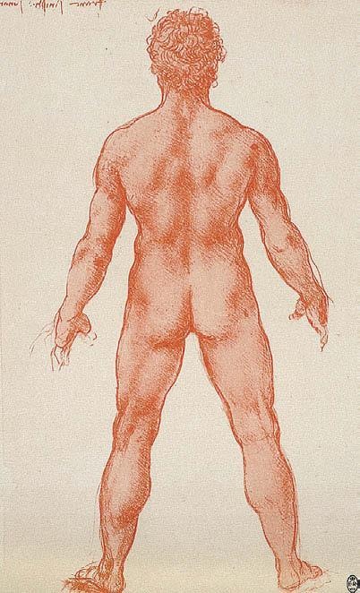 Иллюстрация к книге — Леонардо да Винчи [i_066.jpg]