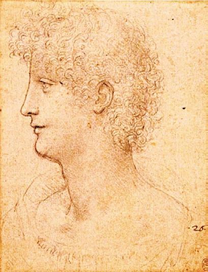 Иллюстрация к книге — Леонардо да Винчи [i_068.jpg]