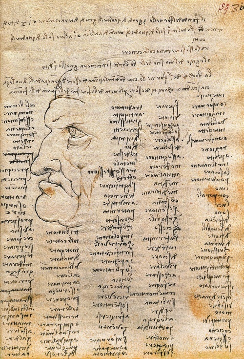 Иллюстрация к книге — Леонардо да Винчи [i_085.jpg]