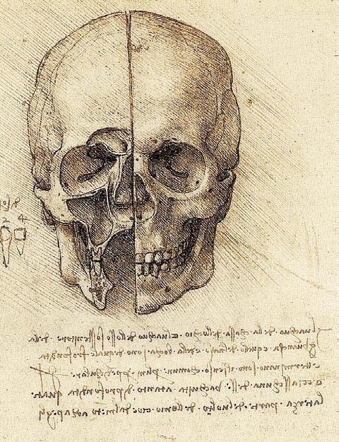 Иллюстрация к книге — Леонардо да Винчи [i_096.jpg]