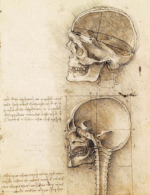 Иллюстрация к книге — Леонардо да Винчи [i_097.jpg]