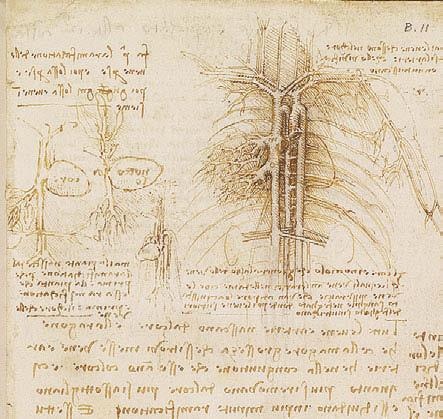 Иллюстрация к книге — Леонардо да Винчи [i_146.jpg]