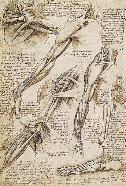 Иллюстрация к книге — Леонардо да Винчи [i_147.jpg]