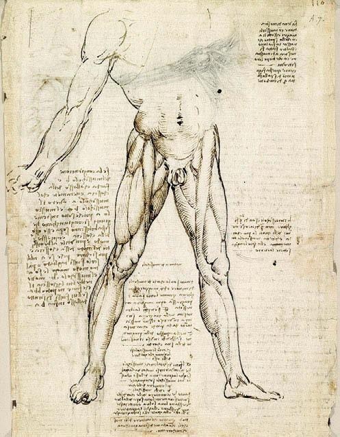 Иллюстрация к книге — Леонардо да Винчи [i_151.jpg]