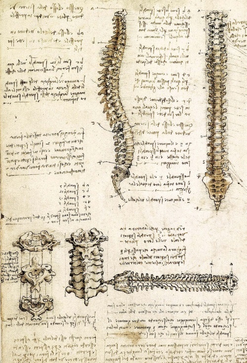 Иллюстрация к книге — Леонардо да Винчи [i_152.jpg]