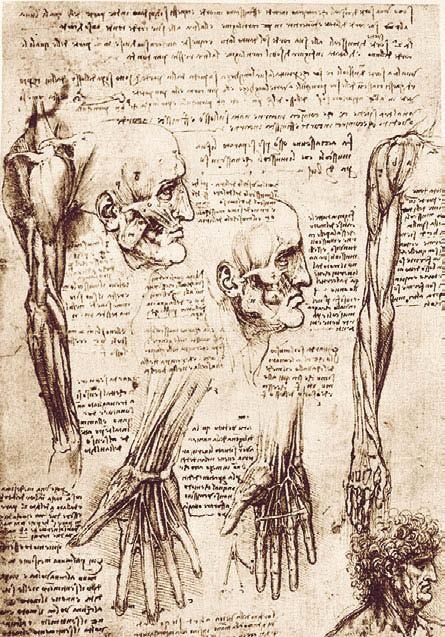 Иллюстрация к книге — Леонардо да Винчи [i_153.jpg]