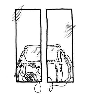 Иллюстрация к книге — Трудное время для попугаев [i_004.jpg]