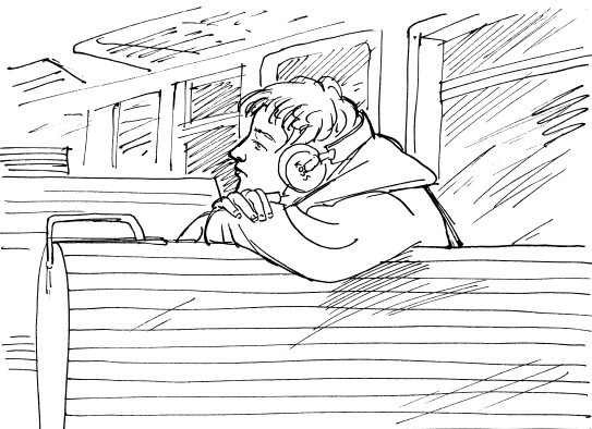 Иллюстрация к книге — Трудное время для попугаев [i_008.jpg]