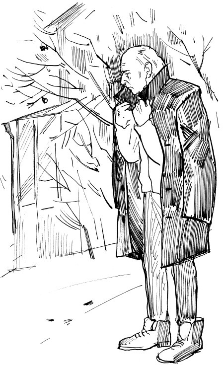 Иллюстрация к книге — Трудное время для попугаев [i_013.jpg]