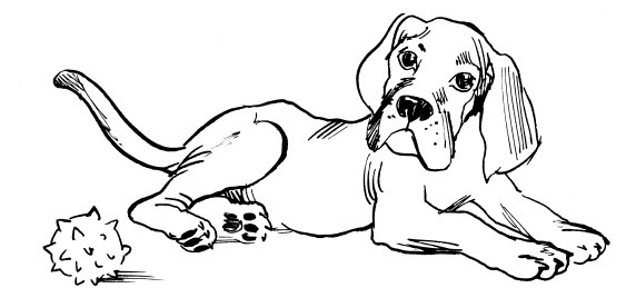 Иллюстрация к книге — Трудное время для попугаев [i_016.jpg]