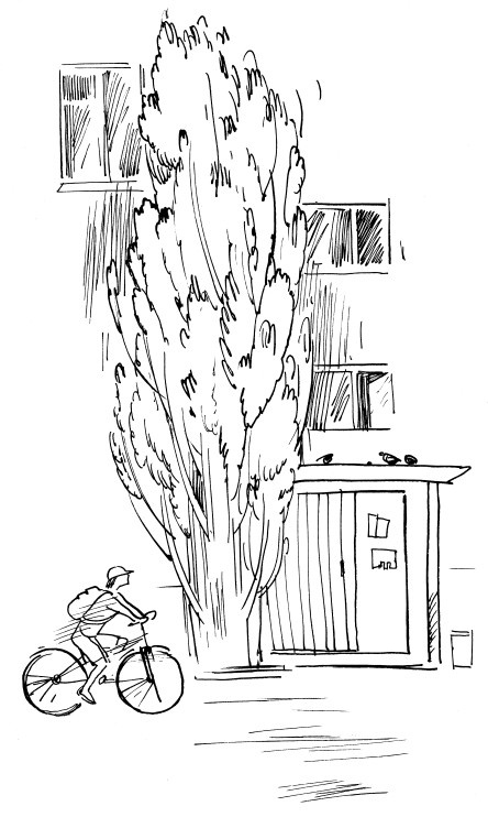 Иллюстрация к книге — Трудное время для попугаев [i_023.jpg]