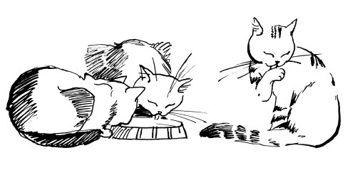 Иллюстрация к книге — Трудное время для попугаев [i_032.jpg]