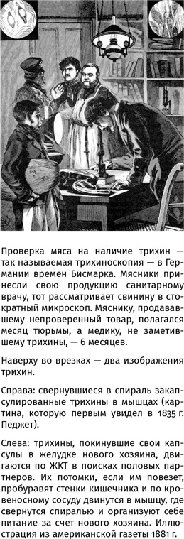 Иллюстрация к книге — 100 рассказов из истории медицины  [i_045.jpg]