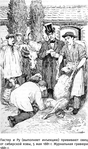 Иллюстрация к книге — 100 рассказов из истории медицины  [i_058.jpg]