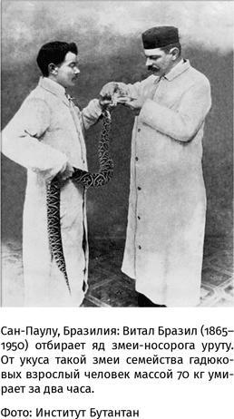 Иллюстрация к книге — 100 рассказов из истории медицины  [i_069.jpg]