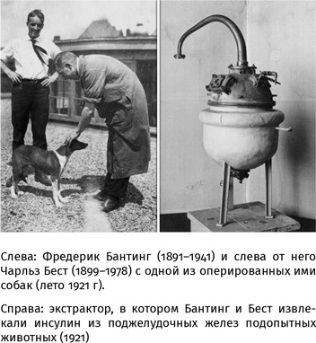 Иллюстрация к книге — 100 рассказов из истории медицины  [i_100.jpg]