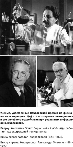 Иллюстрация к книге — 100 рассказов из истории медицины  [i_117.jpg]