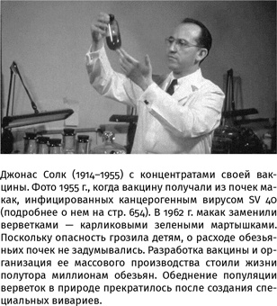 Иллюстрация к книге — 100 рассказов из истории медицины  [i_135.jpg]