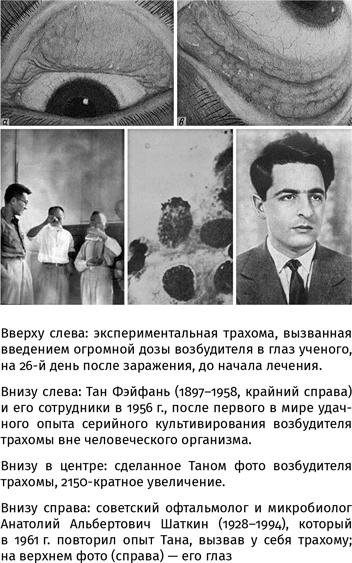 Иллюстрация к книге — 100 рассказов из истории медицины  [i_139.jpg]