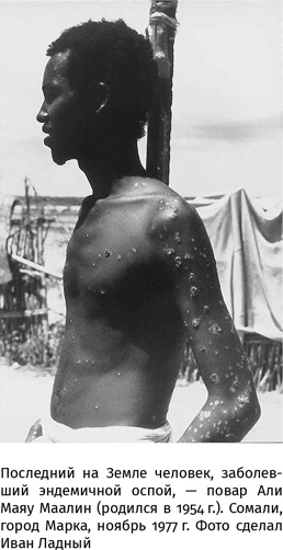 Иллюстрация к книге — 100 рассказов из истории медицины  [i_141.jpg]