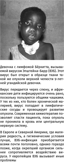 Иллюстрация к книге — 100 рассказов из истории медицины  [i_145.jpg]