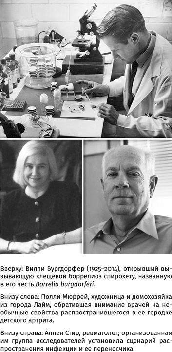 Иллюстрация к книге — 100 рассказов из истории медицины  [i_155.jpg]