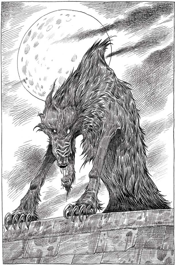 Иллюстрация к книге — Барнаби Граймс. Проклятие ночного волка [i_008.jpg]