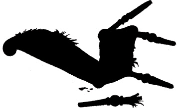 Иллюстрация к книге — Барнаби Граймс. Проклятие ночного волка [i_010.jpg]