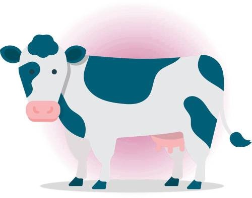 Иллюстрация к книге — Меняем пищевое поведение! Худеем вместе [i_011.jpg]