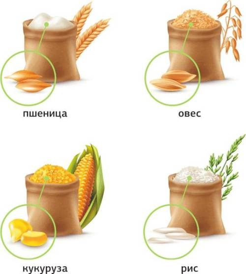 Иллюстрация к книге — Меняем пищевое поведение! Худеем вместе [i_028.jpg]