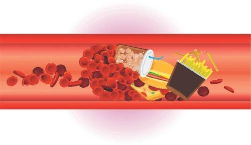 Иллюстрация к книге — Меняем пищевое поведение! Худеем вместе [i_032.jpg]