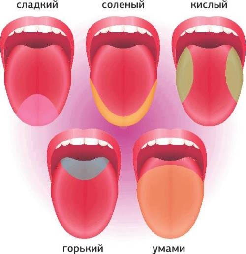 Иллюстрация к книге — Меняем пищевое поведение! Худеем вместе [i_045.jpg]