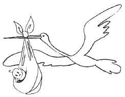 Иллюстрация к книге — Наш первый месяц. Пошаговые инструкции по уходу за новорожденным [i_001.jpg]