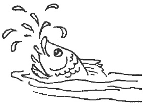 Иллюстрация к книге — Наш первый месяц. Пошаговые инструкции по уходу за новорожденным [i_013.jpg]