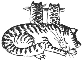 Иллюстрация к книге — Наш первый месяц. Пошаговые инструкции по уходу за новорожденным [i_019.jpg]