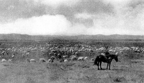 Иллюстрация к книге — Великая Китайская стена [i_008.jpg]