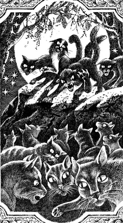 Иллюстрация к книге — Звездная тропа [pic_1.jpg]