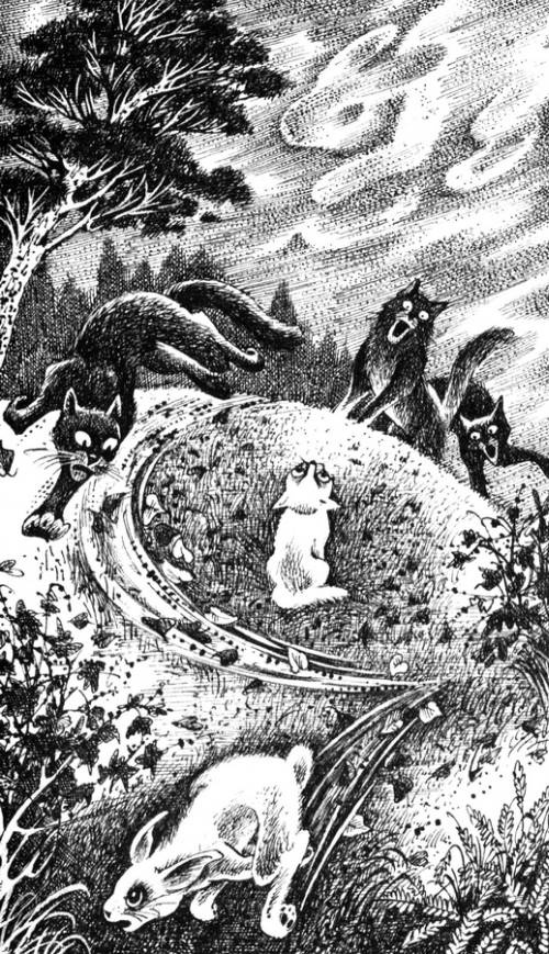 Иллюстрация к книге — Звездная тропа [pic_2.jpg]