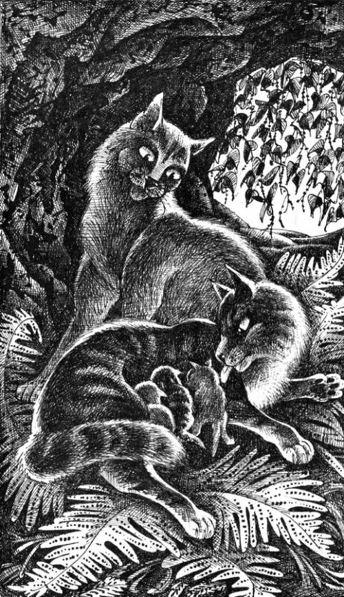 Иллюстрация к книге — Звездная тропа [pic_3.jpg]