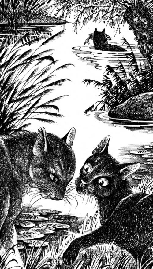 Иллюстрация к книге — Звездная тропа [pic_5.jpg]