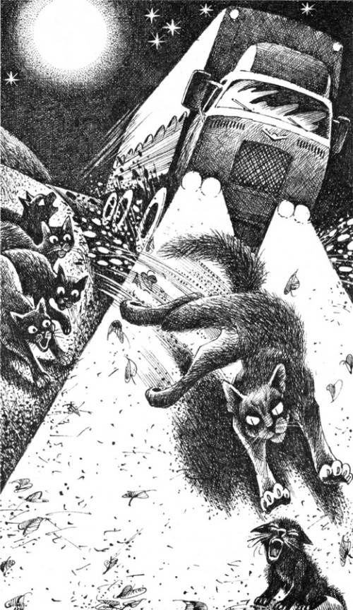 Иллюстрация к книге — Звездная тропа [pic_6.jpg]