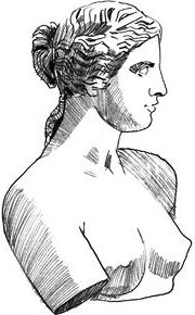 Иллюстрация к книге — Доброключения и рассуждения Луция Катина  [i_005.jpg]