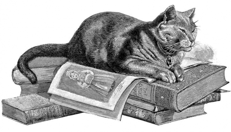 Иллюстрация к книге — Таинственный мир кошек. Мифология, история и наука о сверхъестественных способностях самого независимого домашнего питомца [i_008.jpg]