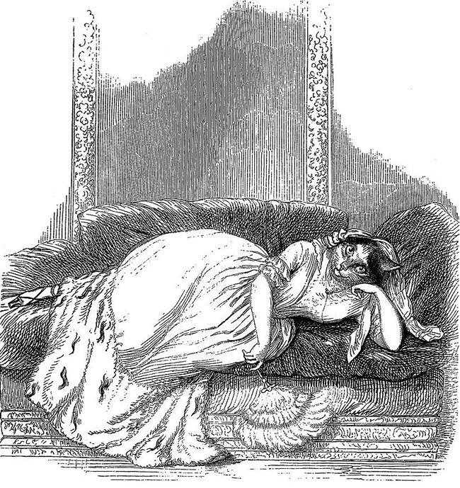 Иллюстрация к книге — Таинственный мир кошек. Мифология, история и наука о сверхъестественных способностях самого независимого домашнего питомца [i_012.jpg]