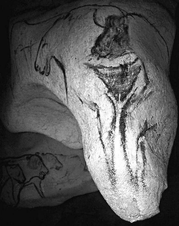 Иллюстрация к книге — Таинственный мир кошек. Мифология, история и наука о сверхъестественных способностях самого независимого домашнего питомца [i_021.jpg]