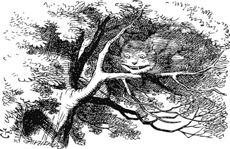 Иллюстрация к книге — Таинственный мир кошек. Мифология, история и наука о сверхъестественных способностях самого независимого домашнего питомца [i_024.jpg]