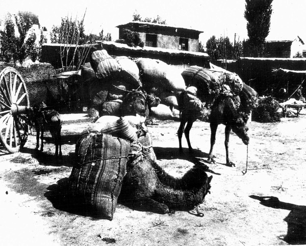 Иллюстрация к книге — Ноев ковчег писателей [i_057.jpg]