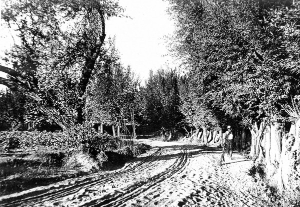 Иллюстрация к книге — Ноев ковчег писателей [i_058.jpg]